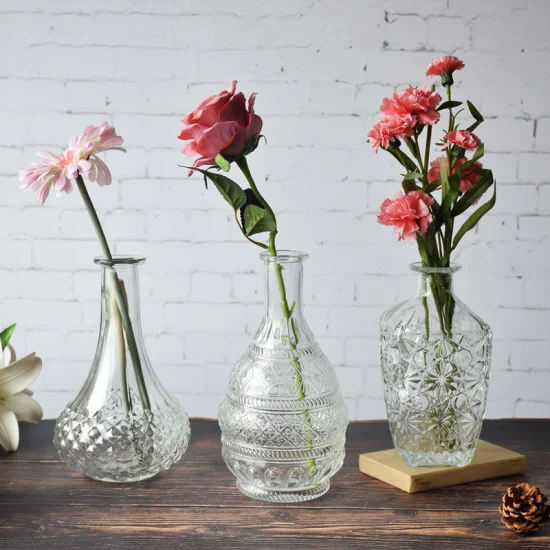 Vase en verre de style moderne populaire Vase de table en verre décoratif pour plantes à fleurs pour bureau